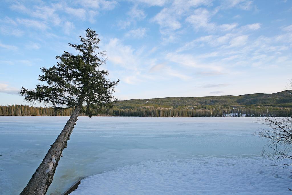 Lac Le Jeune Wilderness Resort Kamloops Bagian luar foto